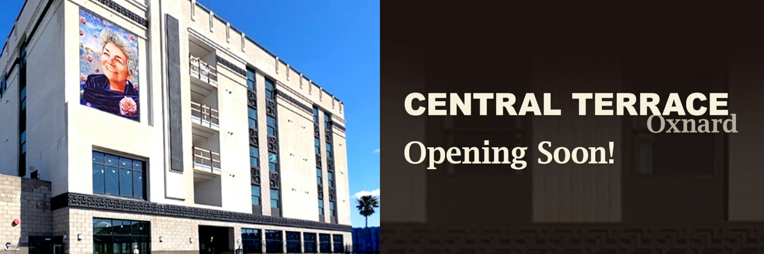 Central Terrace Opening Soon Banner
